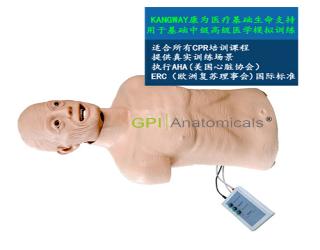 GPI/CPRJ159-C高級心肺復蘇和氣管插管半身模型-老年版帶CPR控制器