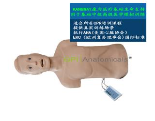 GPI/CPRJ158-C高級心肺復蘇帶氣管插管半身模型-青年版帶CPR控制器
