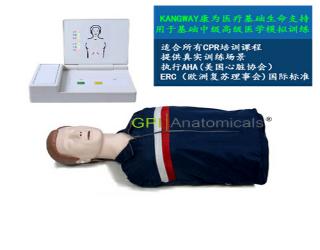 GPI/CPR15200高級成人電子半身心肺復蘇訓練模擬人