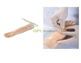 GPI/HS33高級幼兒靜脈穿刺手臂模型