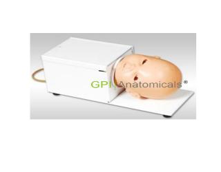 GPI/HS6G旋轉式嬰兒頭皮靜脈穿刺模型