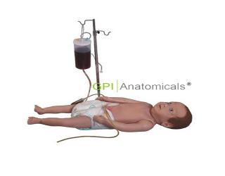 GPI/HS9高級嬰兒全身靜脈穿刺訓練模型