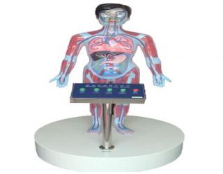 “康為醫療”LED互動吸毒體驗裝置（吸毒者人體血液器官變化系統）五鍵