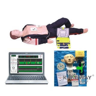 高級心肺復蘇、AED除顫模擬人（計算機控制、二合一組合)